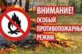 В Томской области объявлено о начале пожароопасного сезона!