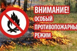 В Томской области объявлено о начале пожароопасного сезона!